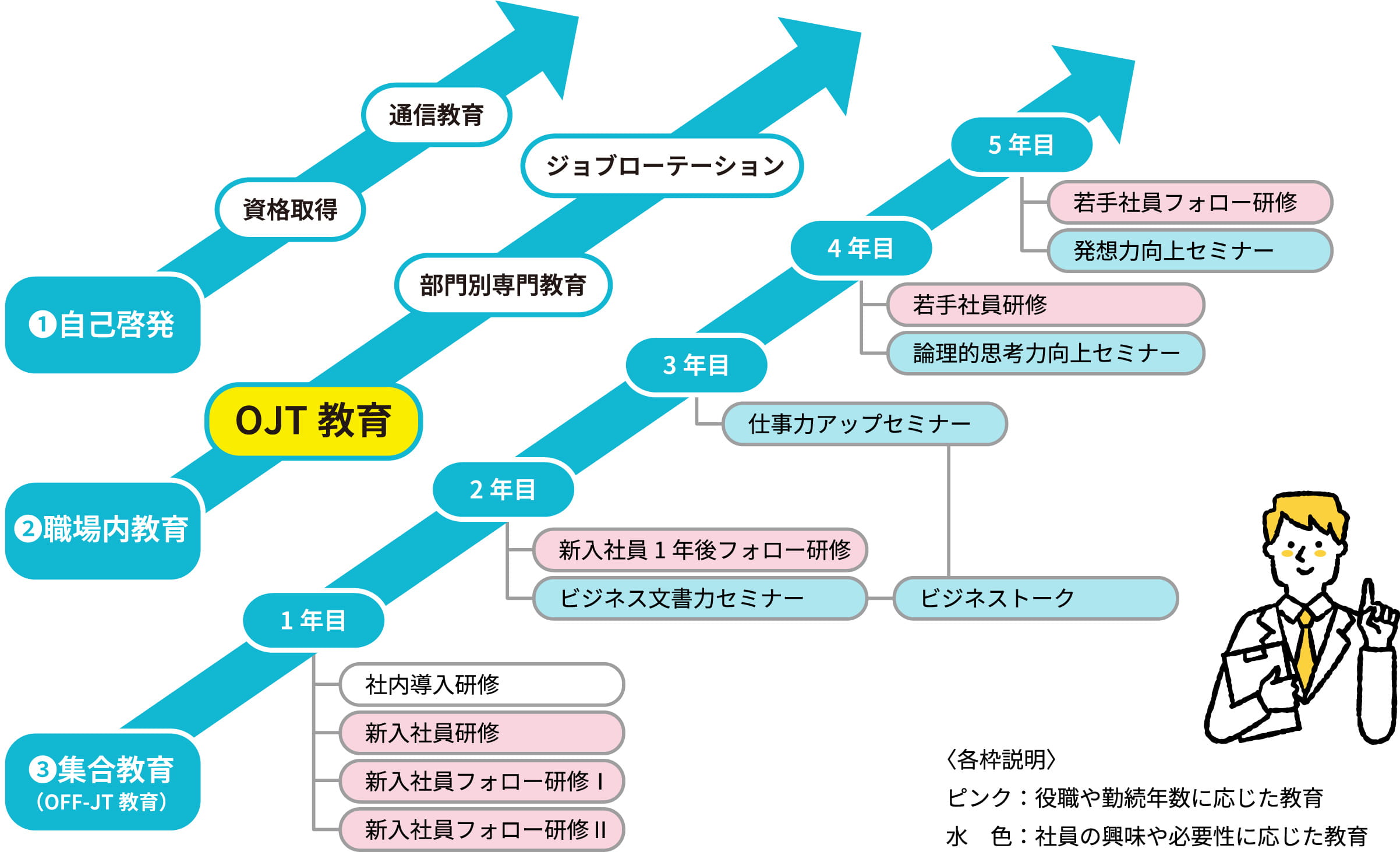 人材育成について